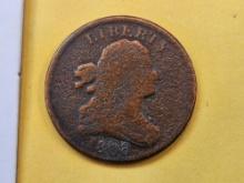 1808 Draped Bust Half Cent