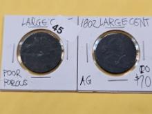 Two Draped Bust Large Cents
