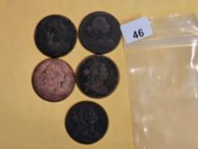 Five Draped Bust Large Cents