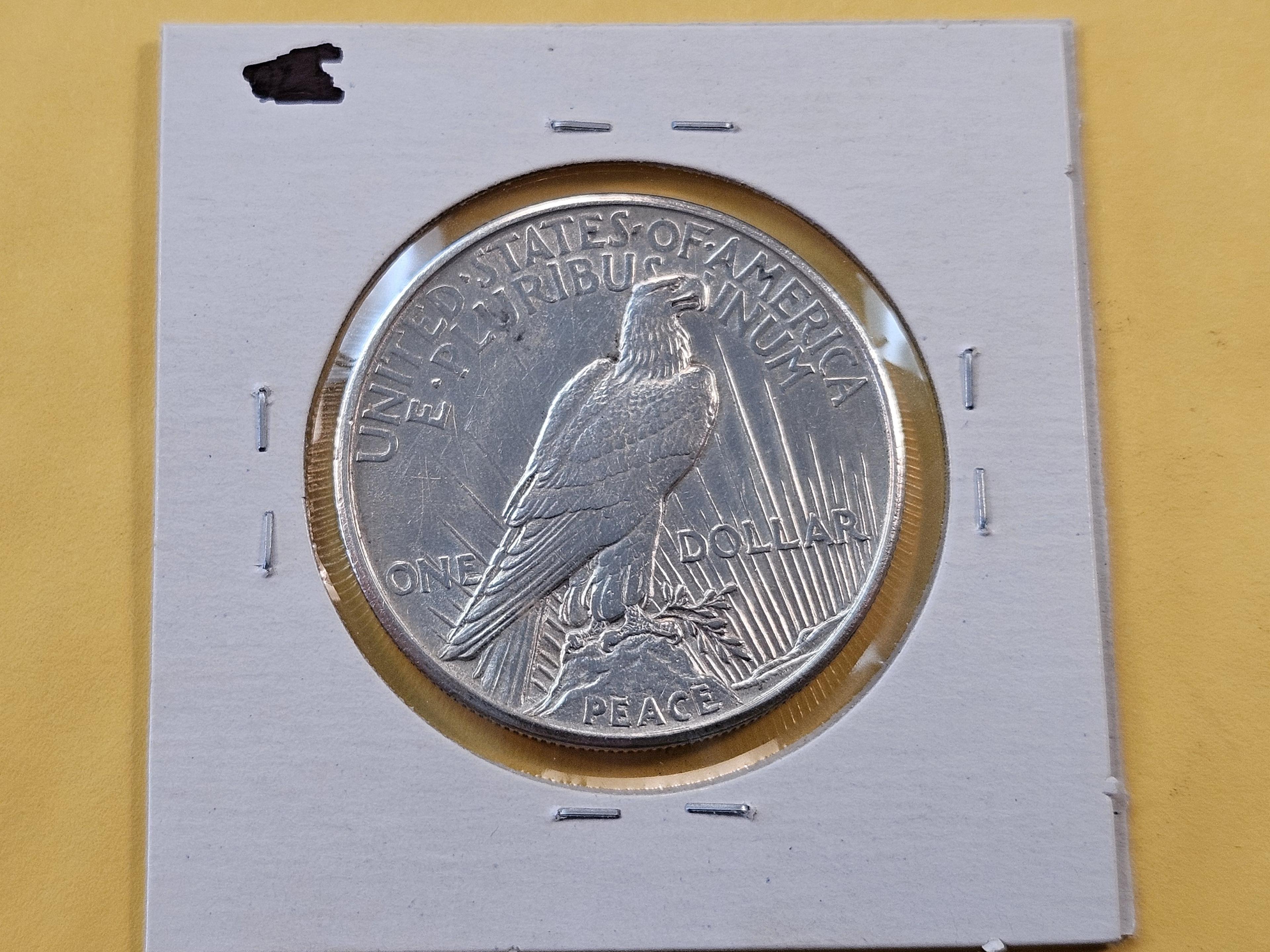 ** KEY DATE ** 1921 Peace Silver Dollar
