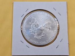 GEM Brilliant Uncirculated 2013 American Silver Eagle