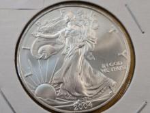 GEM Brilliant Uncirculated 2004 American Silver Eagle