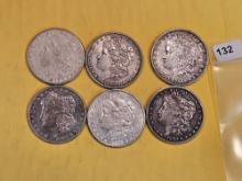 SIx mixed Morgan Silver Dollars