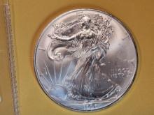 Brilliant Uncirculated 1996 American Silver Eagle