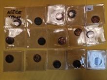 Fifteen Toned Wheat cents