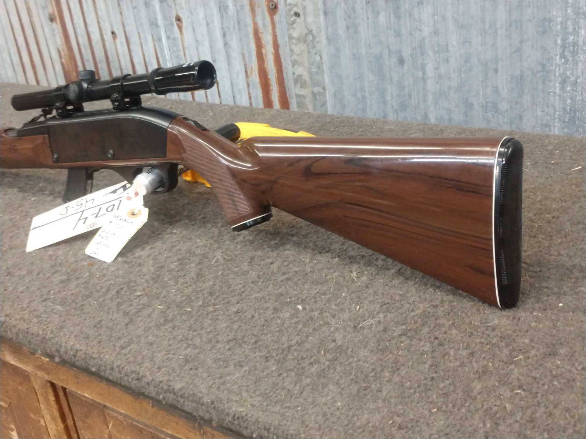 Remington Mohawk Nylon .22 Semi Auto Rifle