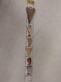 6 Madison Triangle Points Native American Artifact
