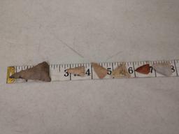 6 Madison Triangle Points Native American Artifact