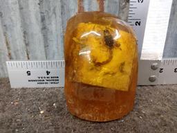 Scorpion In Depicted Fossilized Amber Taxidermy