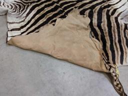 Soft Tanned Zebra Skin Taxidermy