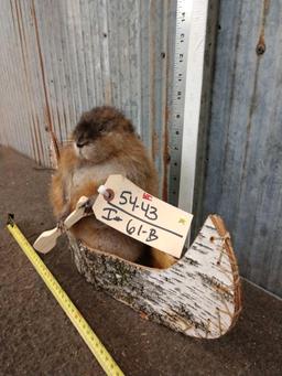 Muskrat In A Birch Bark Canoe Taxidermy