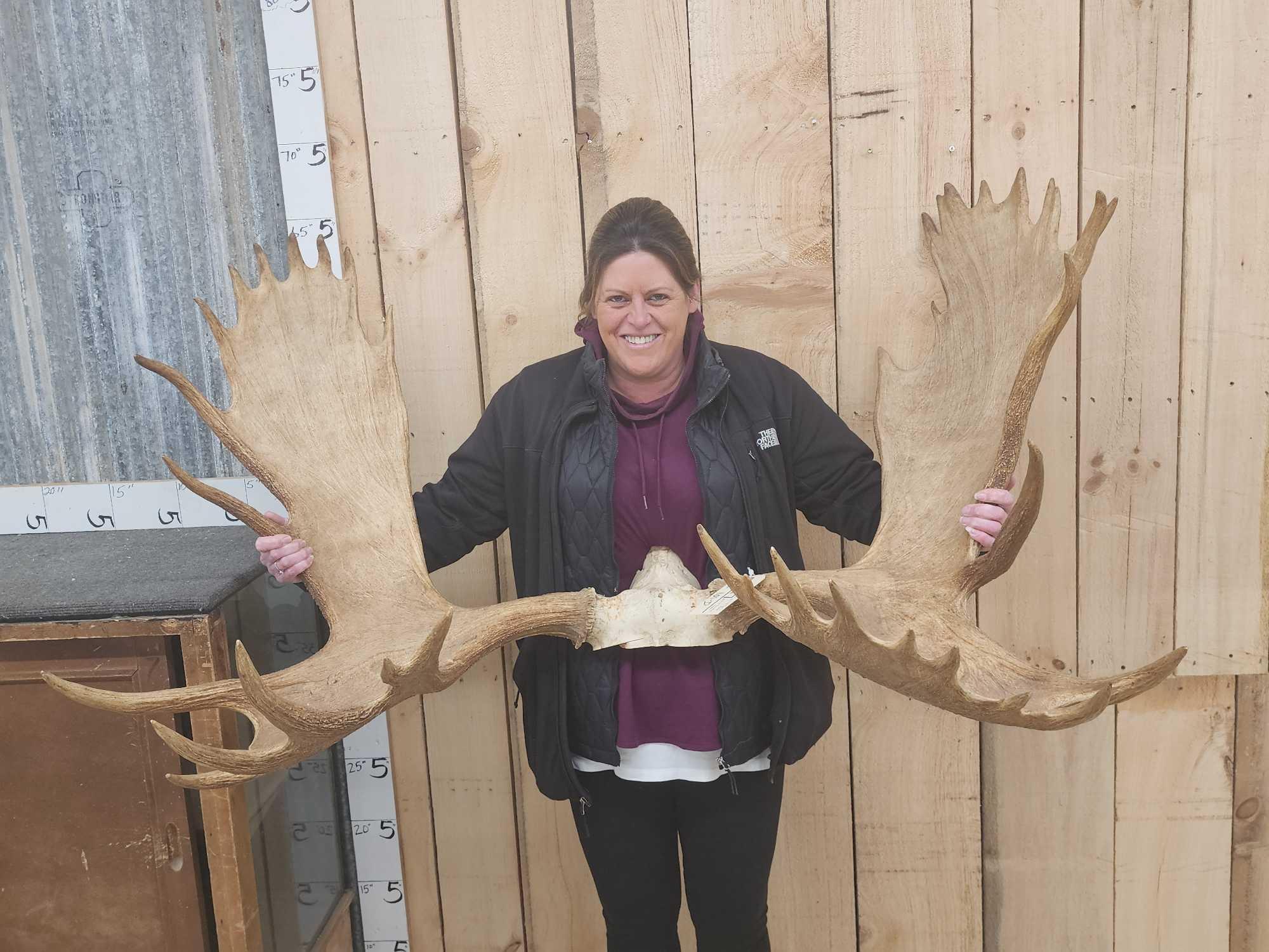 Official Boone & Crockett Record Book Moose Antlers On Skull Plate