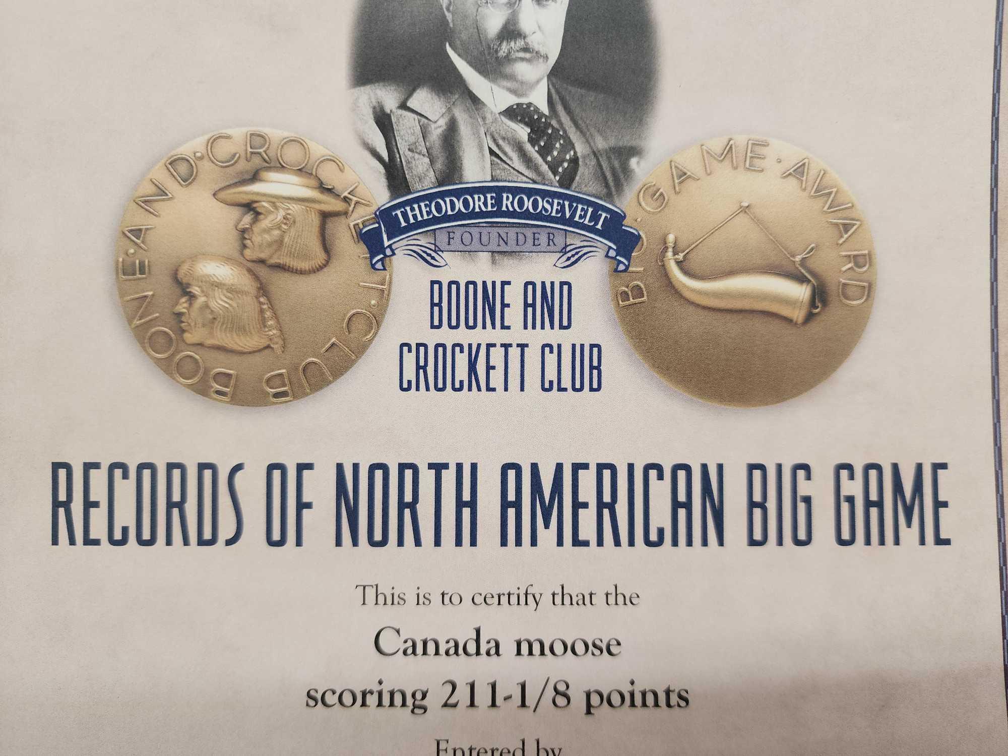 Official Boone & Crockett Record Book Moose Antlers On Skull Plate