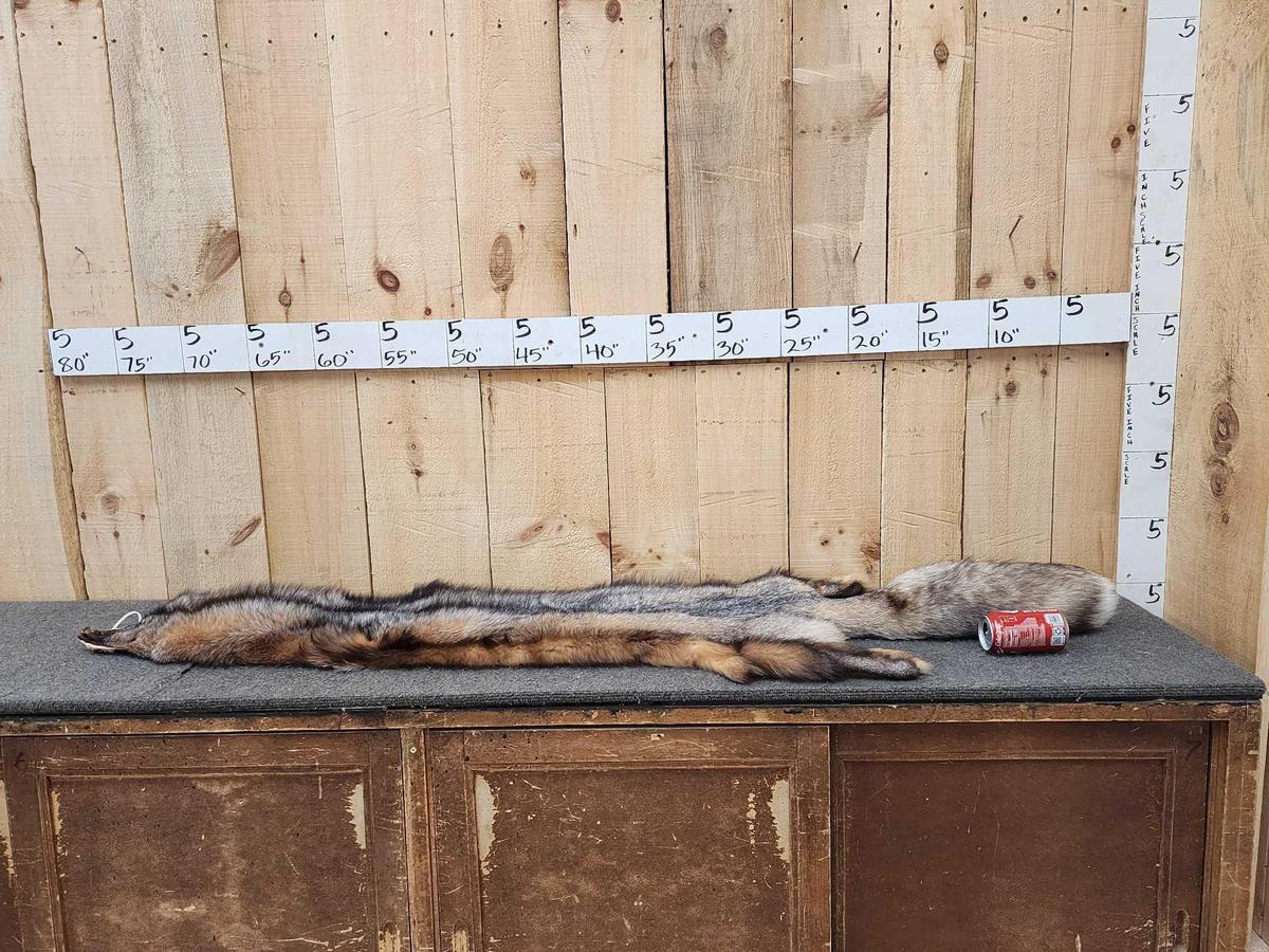 Beautiful Crystal Ranch Fox Soft Tanned Fur