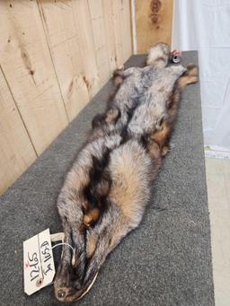 Beautiful Crystal Ranch Fox Soft Tanned Fur