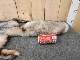 Beautiful Crystal Ranch Fox Soft Tanned Fur