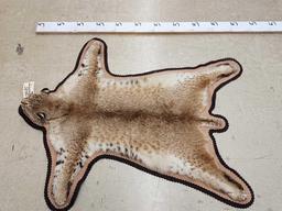 Nice Bobcat Rug Taxidermy
