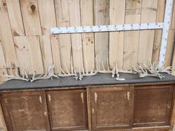 4 Matched Sets Of Whitetail Shed Antlers
