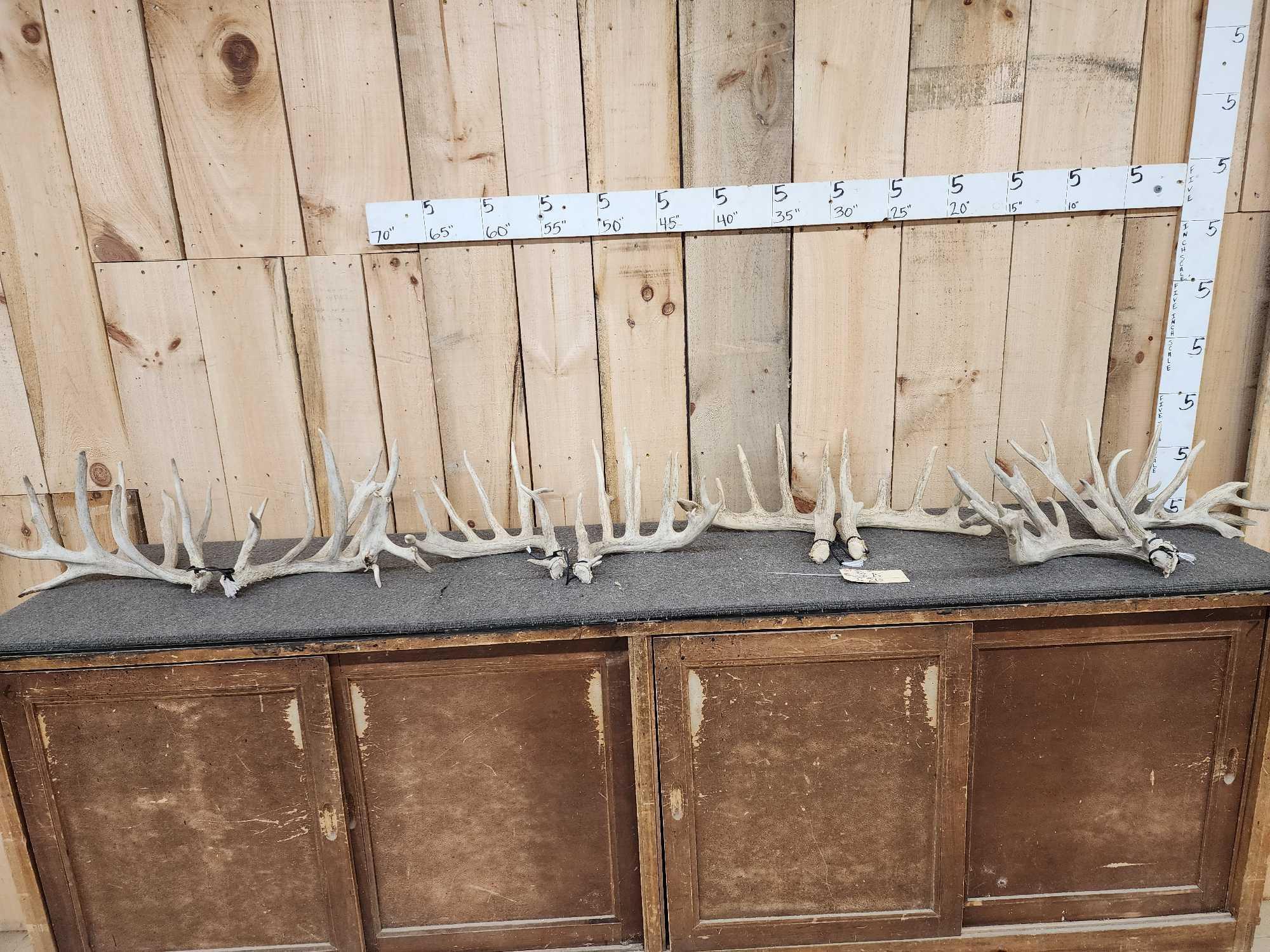 4 Matched Sets Of Whitetail Shed Antlers