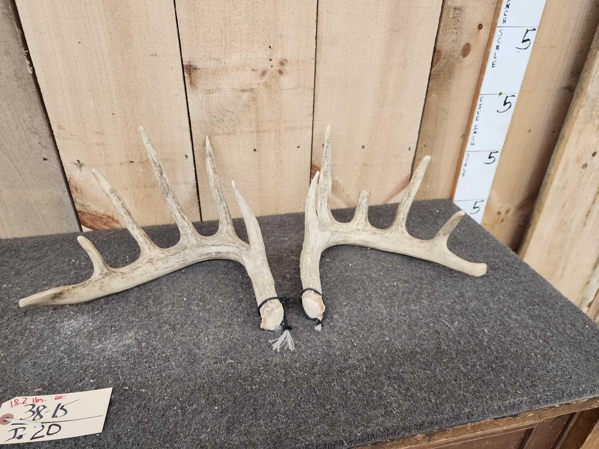 4 Matched Sets Of Whitetail Shed Antlers