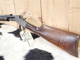 Stevens Visible Loader .22 Pump Rifle