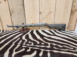 Ruger 10/22 .22 Semi Auto Rifle