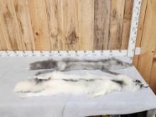 2 Beautiful Ranch Fox Soft Tanned Furs Taxidermy