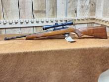 Ruger Model 10/22 Carbine. 22 Semi Auto Rifle