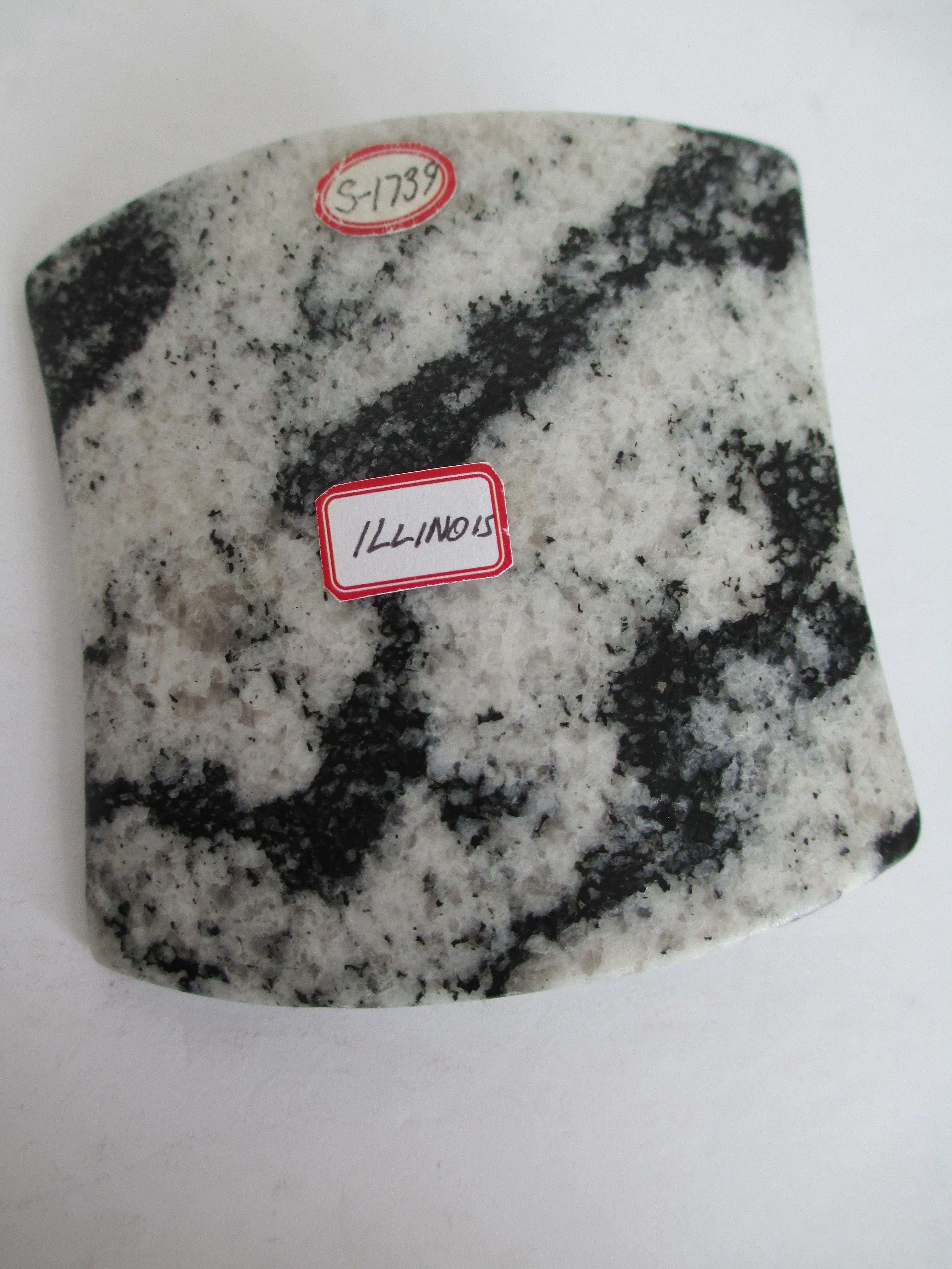 Large Late Archaic Saddle Bannerstone