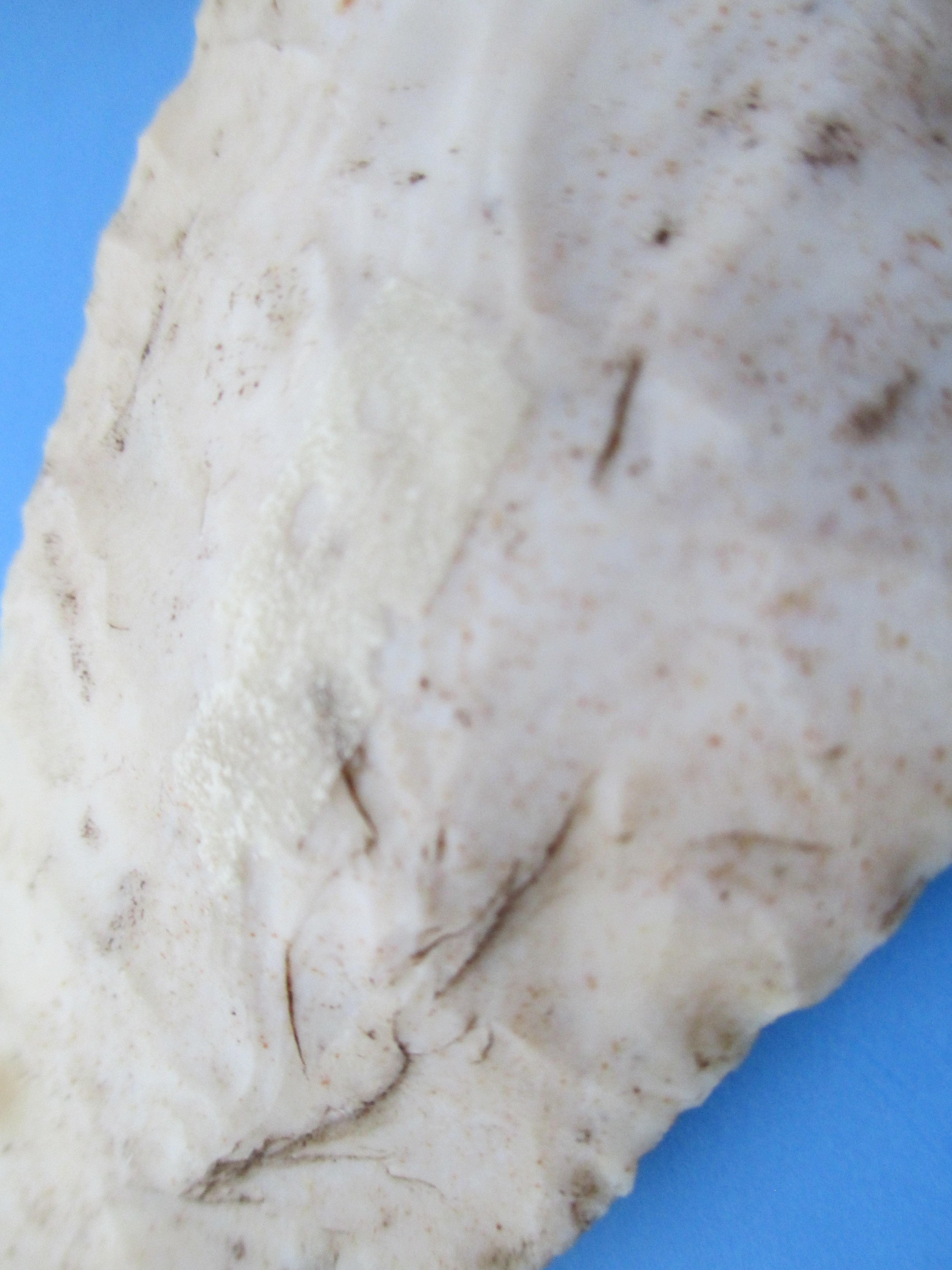 4-1/8" Marion Arrow Point