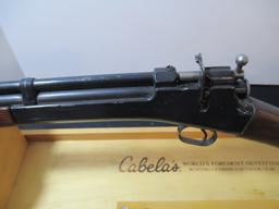 Crosman 101 Multi-Pump Air Rifle .22 Cal.