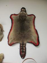 Taxidermy Raccoon Rug