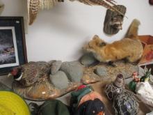 Red Fox & Ringneck Pheasant Taxidermy Mount