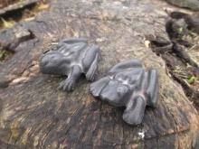 Cast Iron Fertility Frogs Pair