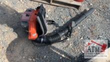 Echo Backpack Blower