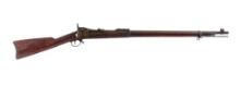 U.S. Springfield 1884 Trapdoor .45-70 Govt Rifle