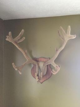Caribou Rack