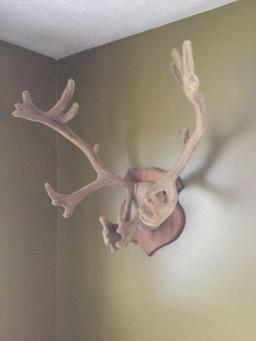 Caribou Rack