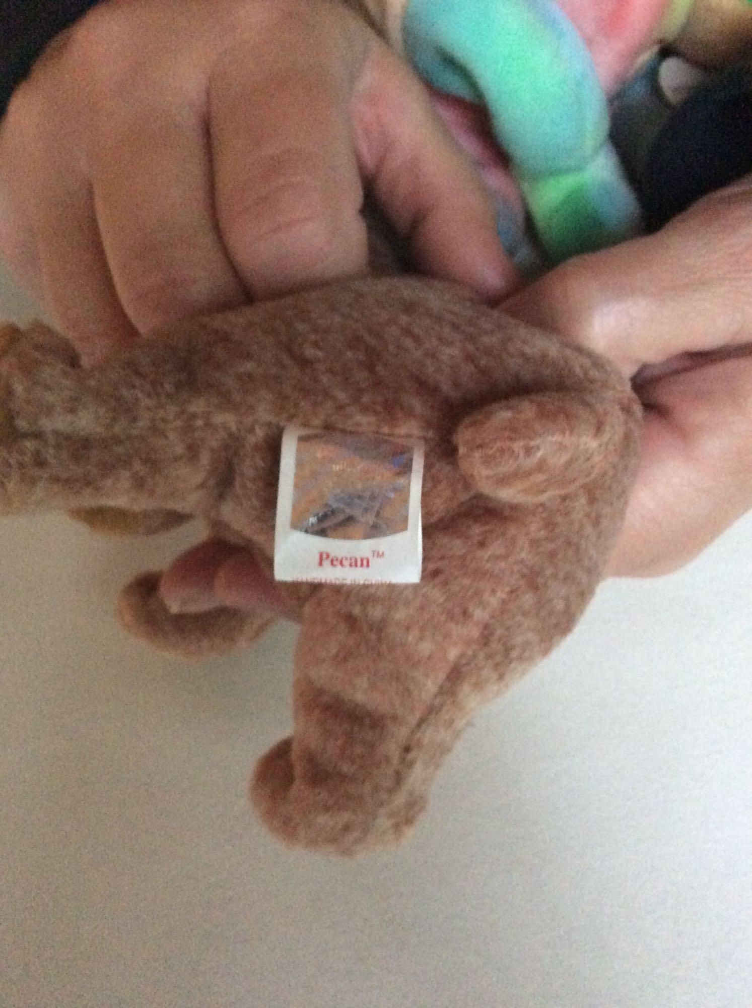 Beanie Babies