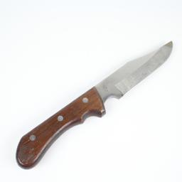 10.75" Hunters Choice Hunting Knife