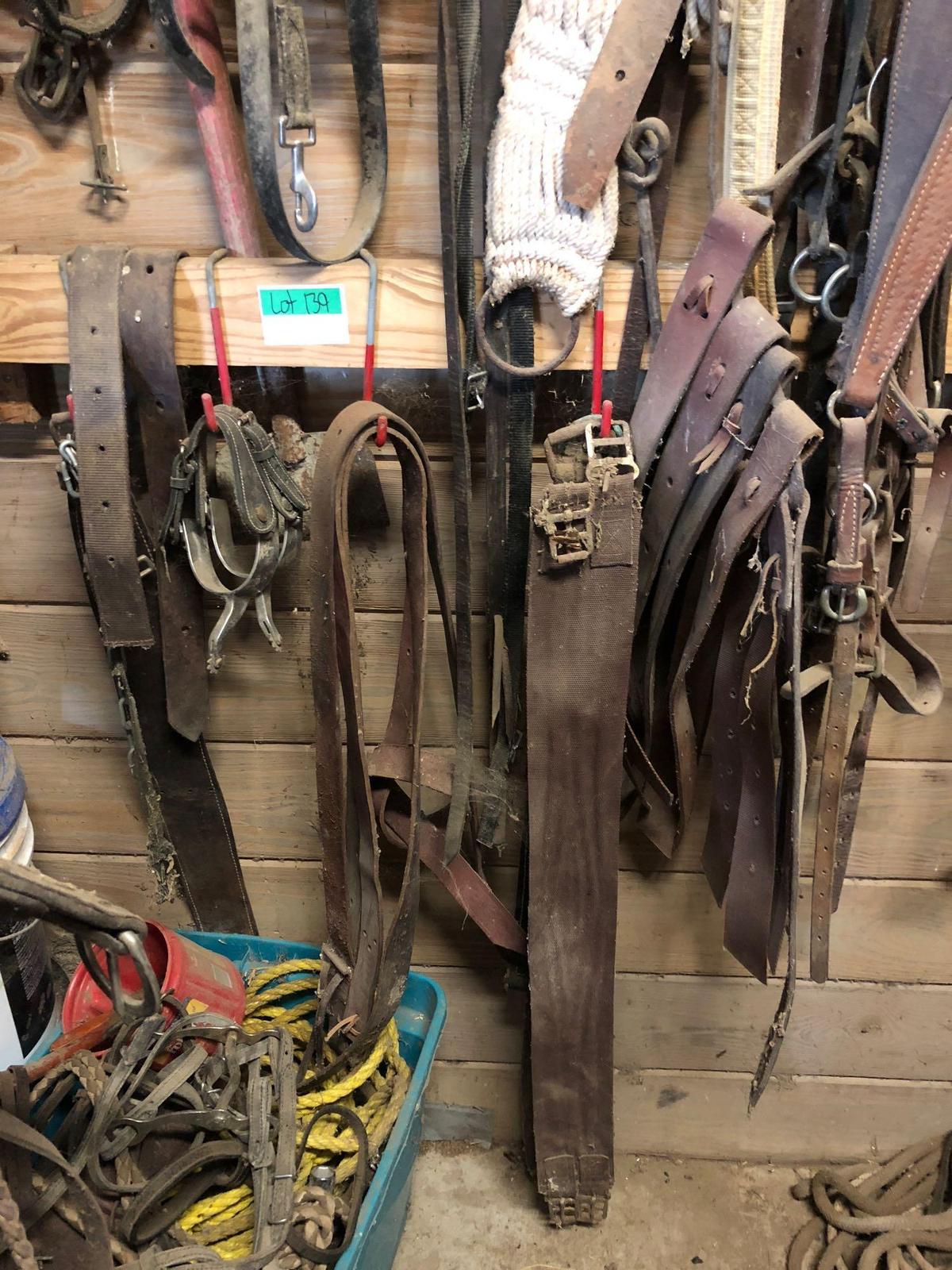 Horse harnesses