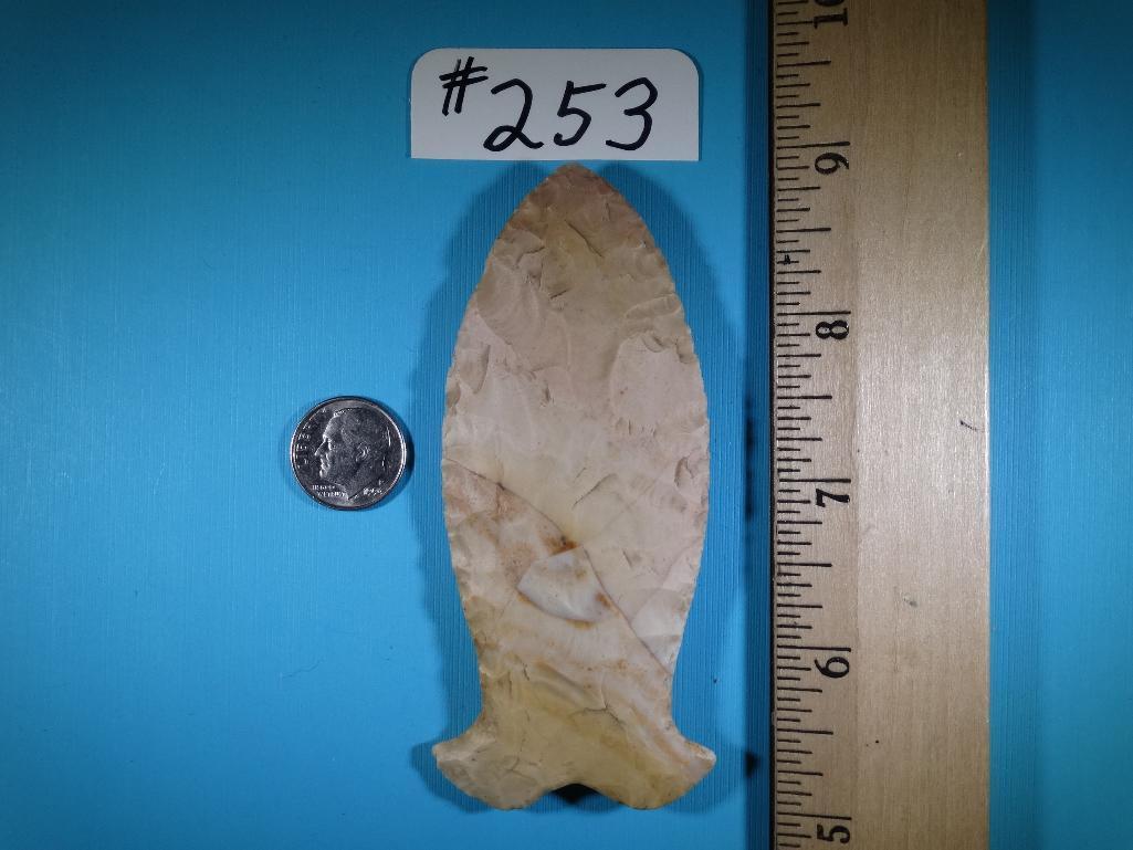 Grade 10 Rare Simpson Mustache Spear Point