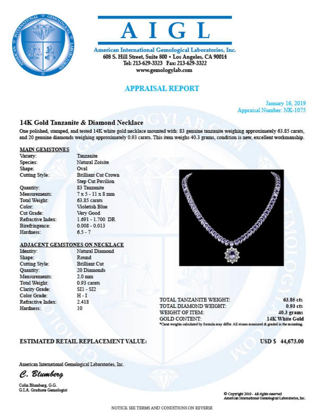 14K White Gold 63.85ct Tanzanite and 0.93ct Diamond Necklace
