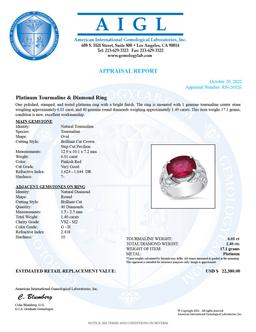 Platinum Setting with 6.01ct Tourmaline and 1.4 ct Diamond Ladies Ring