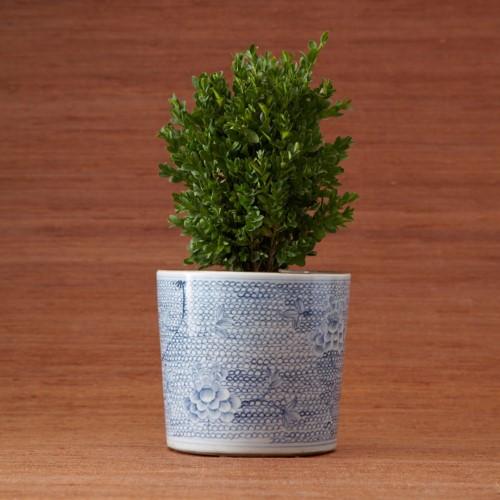 Chrysanthemum Flower Pattern Vase Planter, Retail $120.00