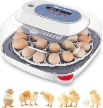 Sailnovo 24 Eggs Incubator, 360 View, Auto Egg Turning, Temp Control, Humidity Display (Blue)