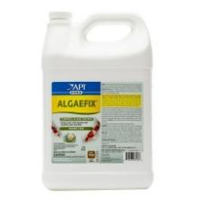 POND ALGAEFIX, 1 GALLON