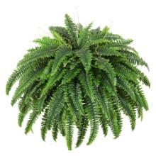 Single Silky Artificial Boston Fern Bush, 49Inch Large Faux Ferns for Outdoors, 95 Branches