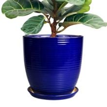 12 Inch Ceramic Planter Pot w/ Drainage & Saucer - Fluted, Round, Blue, for Home & Garden