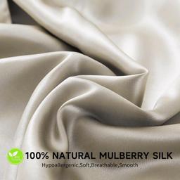 Zimasilk...Pillow Cover Made of 100 % Mulberry Silk
